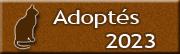 Chats adoptes 2023