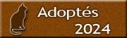 Chats adoptes 2024