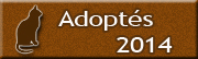 Chats adoptés en 2014