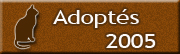 Chats adoptés en 2005