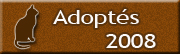 Chats adoptés en 2008