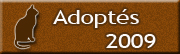 Chats adoptés en 2009