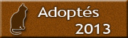 adoptes-2013.jpg