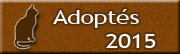 Adoptesen2015